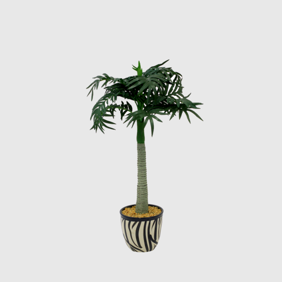 Palmera en Maceta