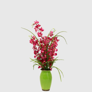 Orquídeas Púrpuras en Maceta