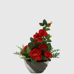 Rosas Rojas en Maceta