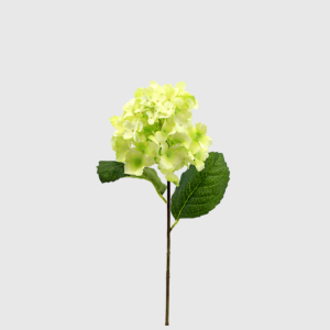 Flor Hortensia