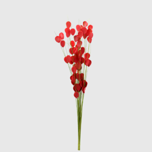 Tallos de Plantas Decorativas