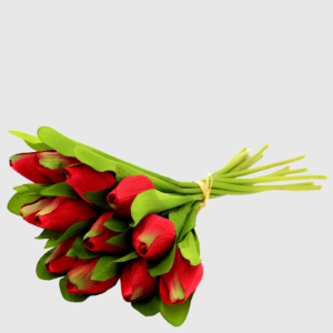 Flores de Tulipán Rojo