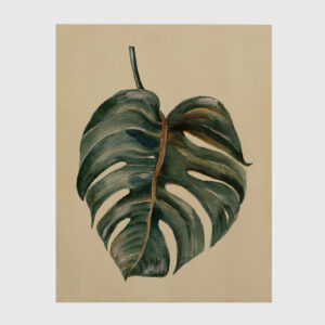 Cuadro Terciopelo Tropical