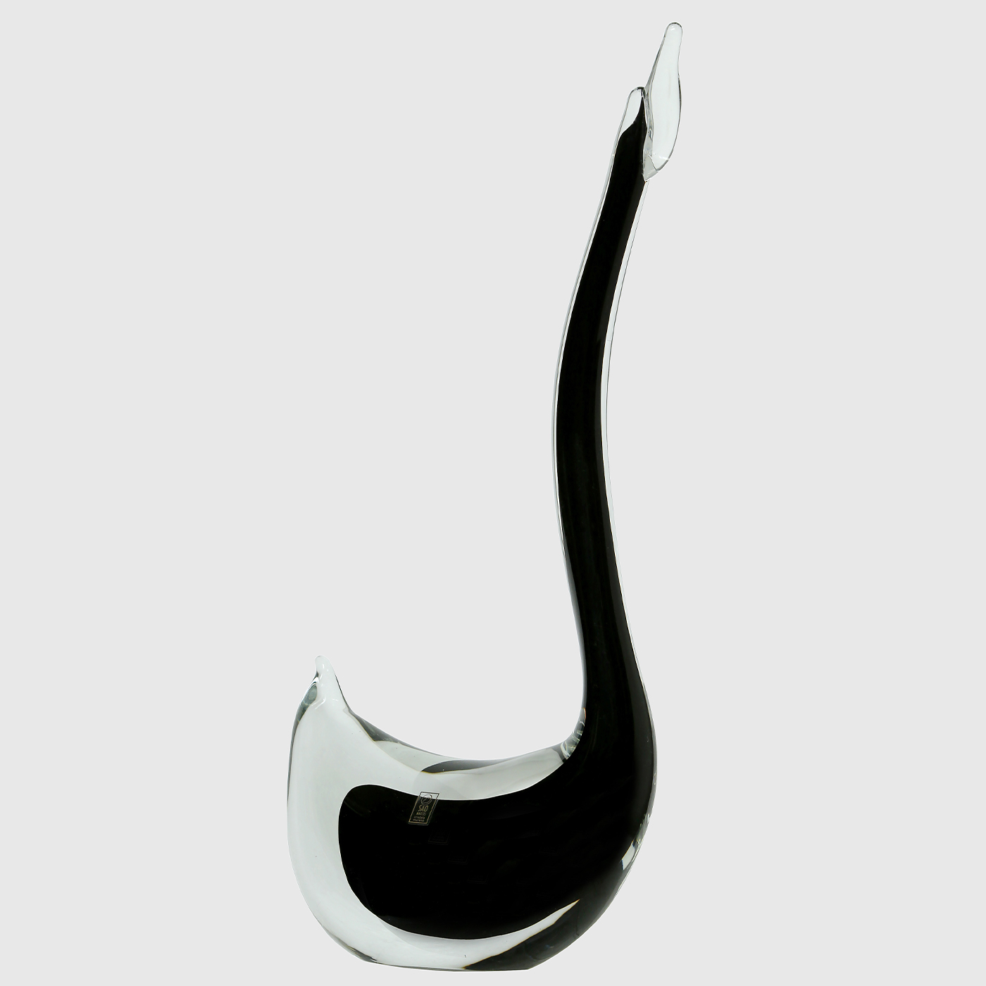 Cisne Molinari Negro