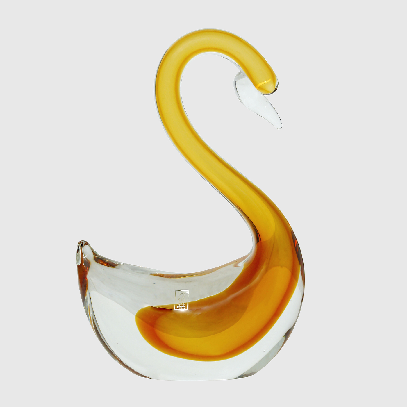 Cisne Molinari Ambar