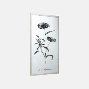 Flore Enmarcadas II
