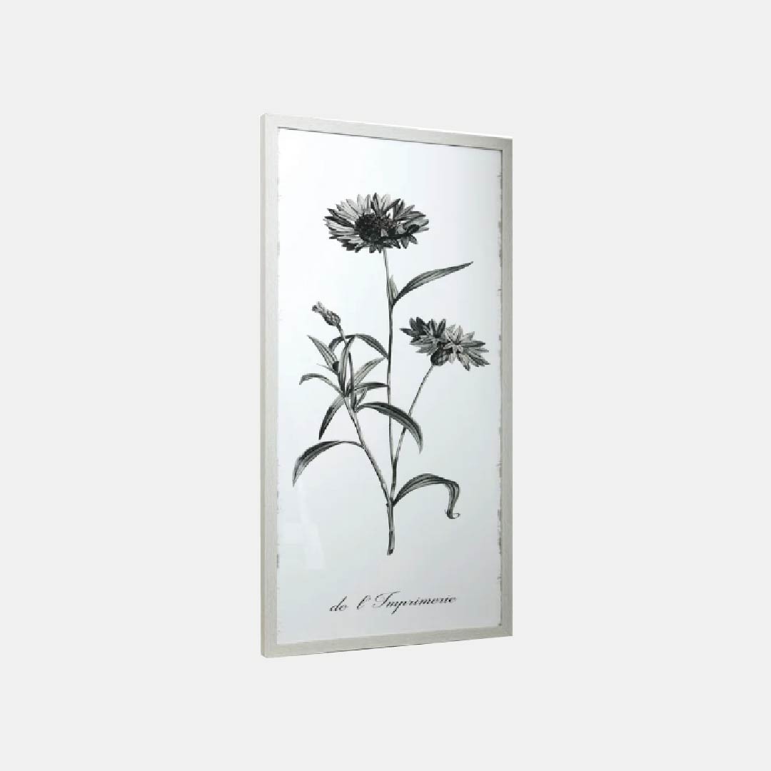 Flore Enmarcadas II