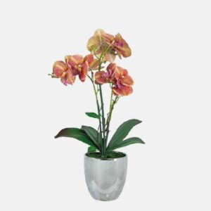 Orquídea Naranja