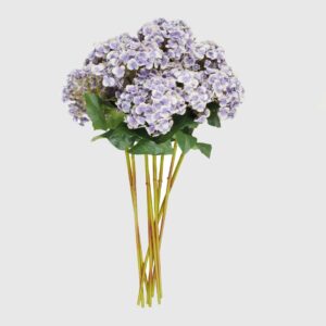 Hortensia Azul y Morada