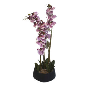 Orquideas 4 Tallos 25 Flores